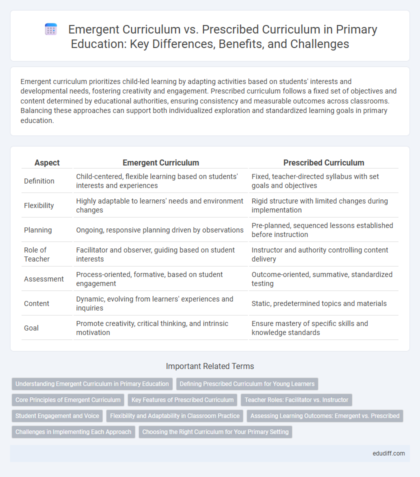 Emergent Curriculum vs. Prescribed Curriculum in Primary Education: Key Differences, Benefits, and Challenges