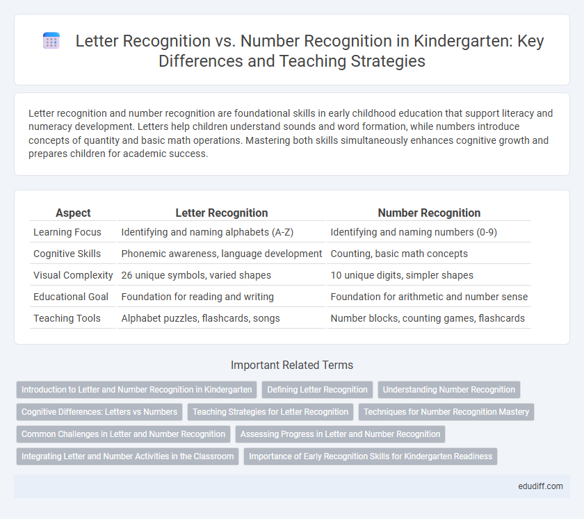 Letter Recognition vs. Number Recognition in Kindergarten: Key Differences and Teaching Strategies