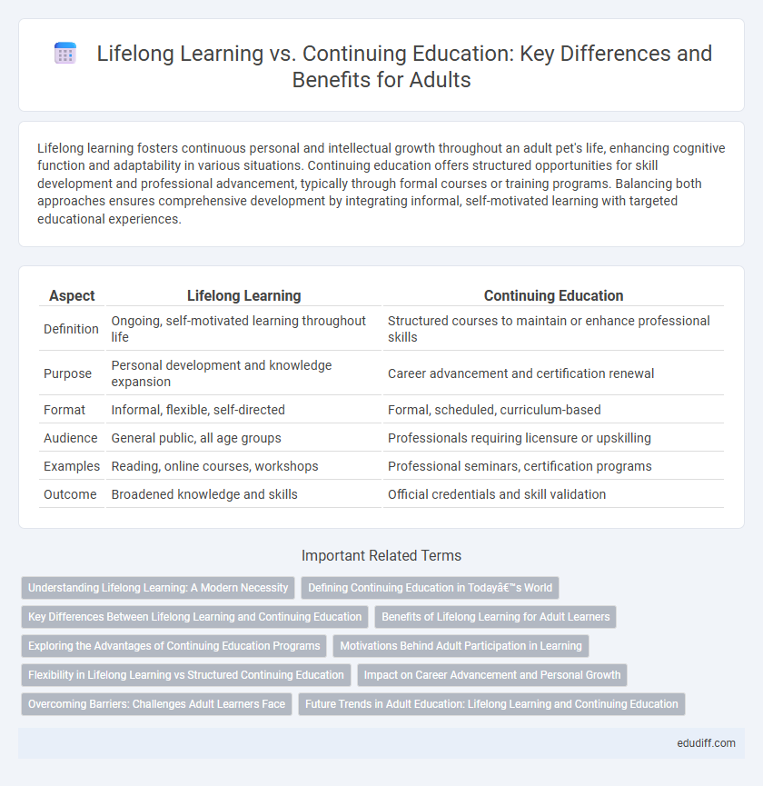 Lifelong Learning vs. Continuing Education: Key Differences and Benefits for Adults