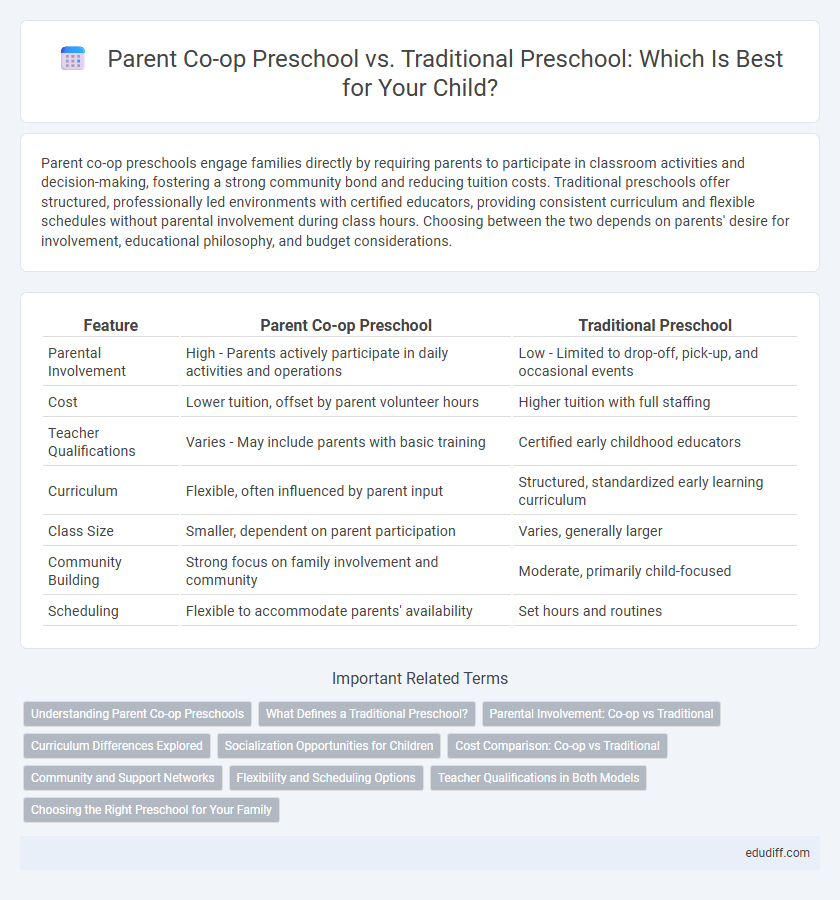 Parent Co-op Preschool vs. Traditional Preschool: Which Is Best for Your Child?