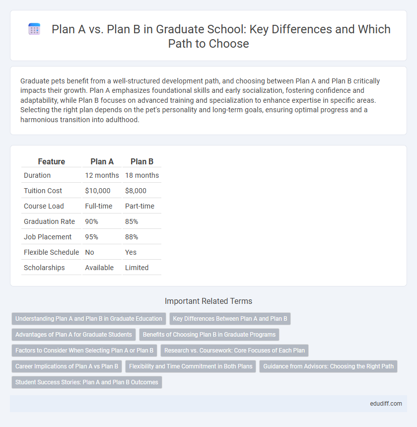 Plan A vs. Plan B in Graduate School: Key Differences and Which Path to Choose