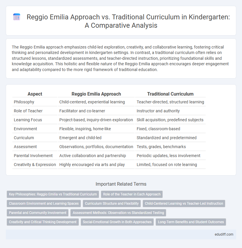 Reggio Emilia Approach vs. Traditional Curriculum in Kindergarten: A Comparative Analysis
