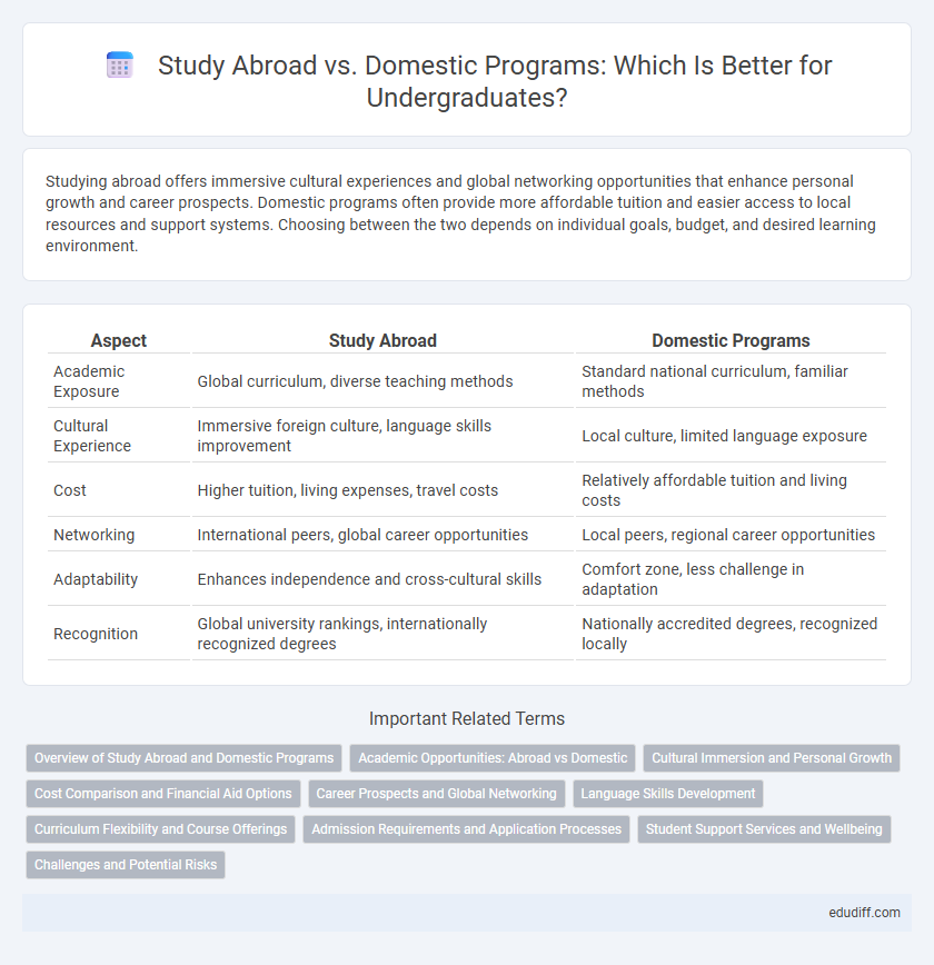 Study Abroad vs. Domestic Programs: Which Is Better for Undergraduates?