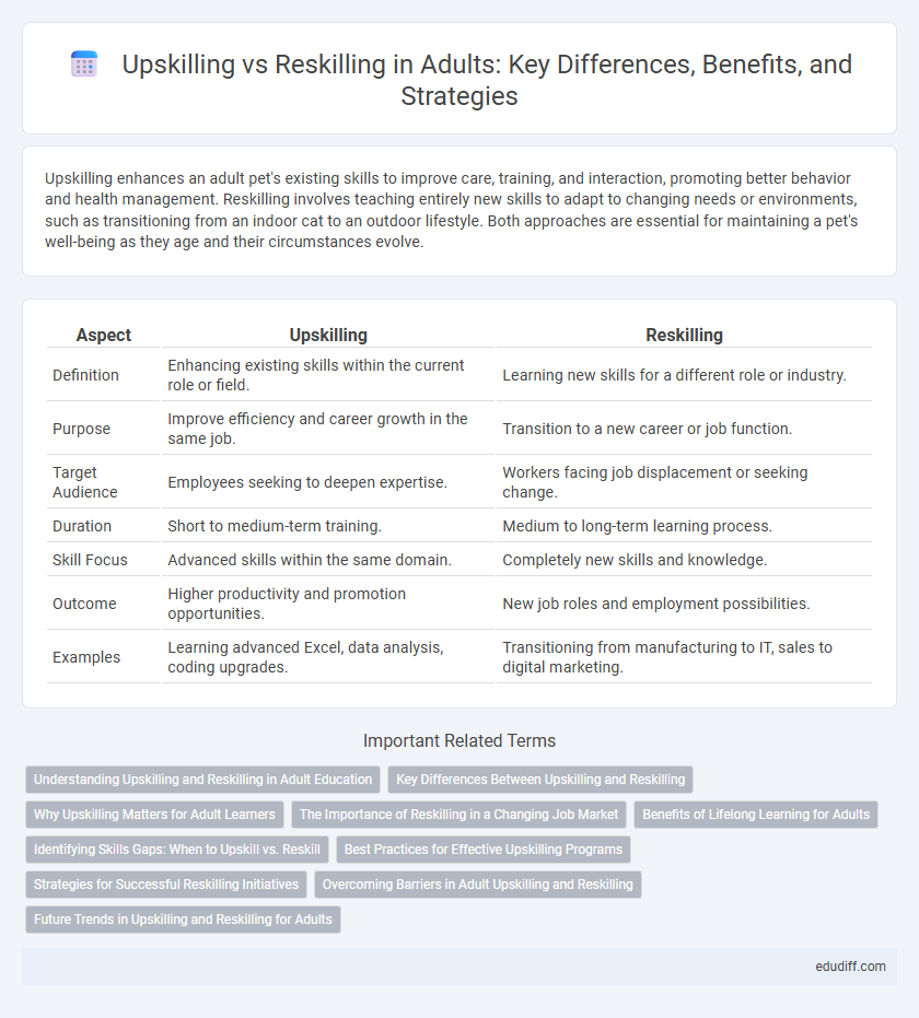 Upskilling vs Reskilling in Adults: Key Differences, Benefits, and Strategies